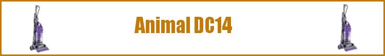 Animal DC14